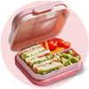 Kids Bento Box - Cruising Dogs