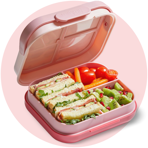 Kids Bento Box - Cruising Dogs