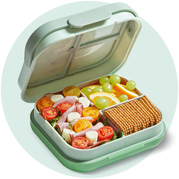 Kids Bento Box - Trekking Chameleon