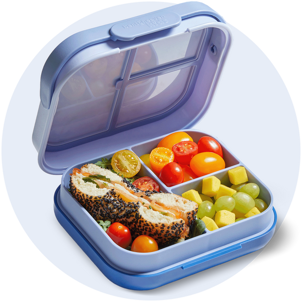 Kids Bento Box - Surfer Shark