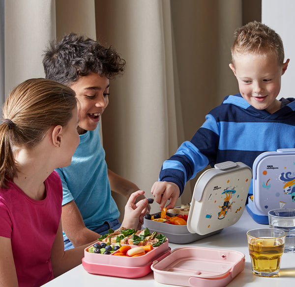 Kids Bento Box - Surfer Shark